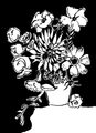 Image Not Available